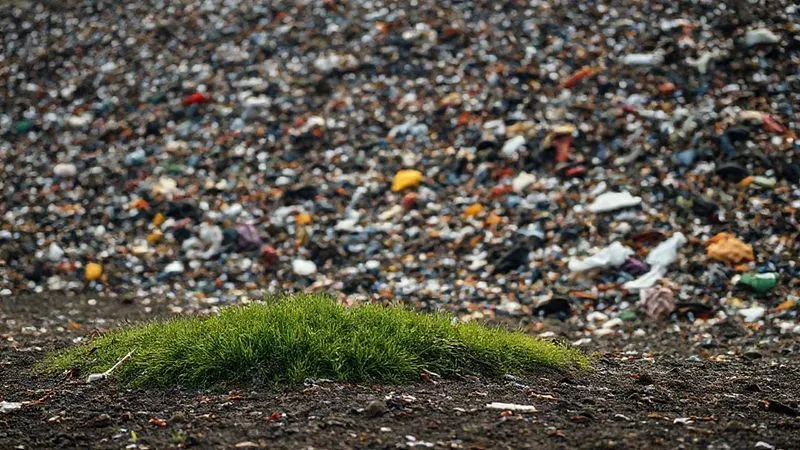 A photorealistic, professional photography, 8K image showing a vast landfill overflowing with discarded clothing and textiles, contrasting with a small, pristine green patch in the foreground, cinematic lighting, sharp focus on the waste, depth of field blurring the background, shot on a high-end DSLR, evoking a sense of urgent environmental concern.